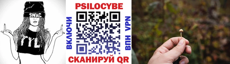 даркнет сайт  Новый Оскол  ОМГ ОМГ сайт  Псилоцибиновые грибы мухоморы 